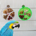 Load image into Gallery viewer, Parrot Supplies Premium Acrylic Foraging Wind Wheel Toy Green 25cm by Sell My Stuff
