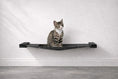 Load image into Gallery viewer, Hanging Cat Bed Hammock in dark gray fabric, wall-mounted cat perch
