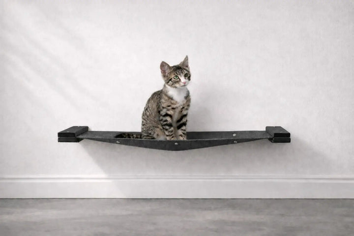 Hanging Cat Bed Hammock in dark gray fabric, wall-mounted cat perch