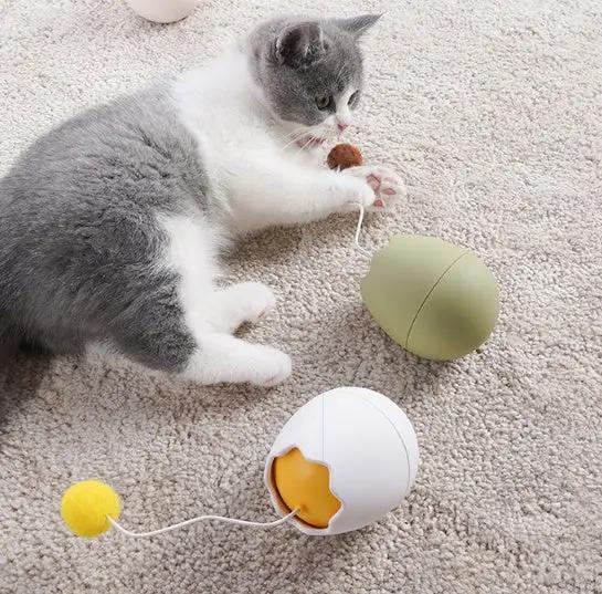Premium Interactive Hard ABS Plastic Small Cat Knot Toy Indoor Safety by Sell My Stuff