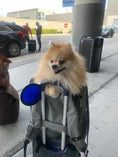 Carica l'immagine nel visualizzatore della galleria, Mr. Peanut's Aspen Series airline-compliant backpack pet carrier; gray fabric with a fluffy Pomeranian peeking out.
