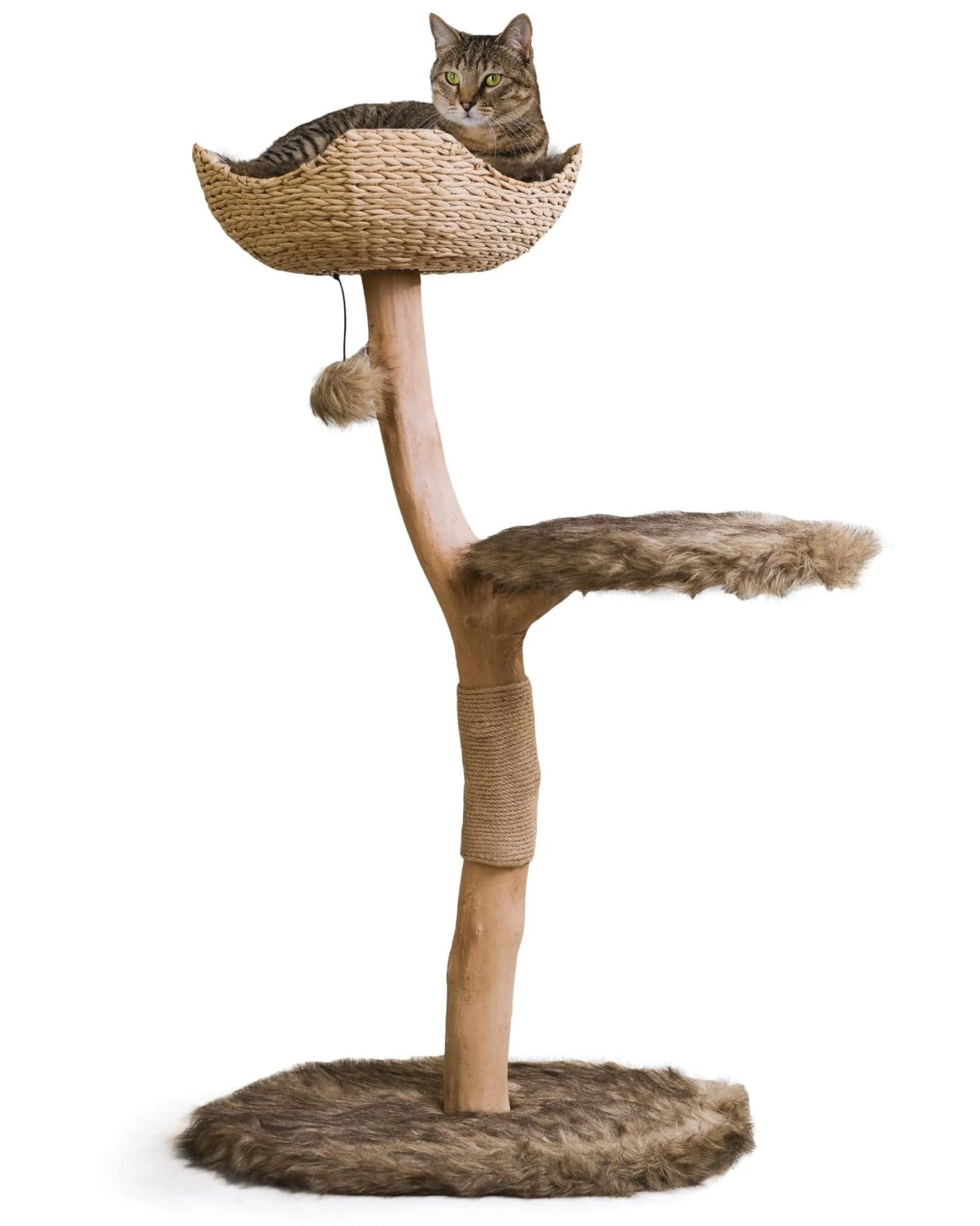 Wooden Cat Tree Tower Modern Single Branch Cat Condo Wood Cat Tree Cat Climbing Furniture for Cat Cat Lover Gift Cat FurnitureCat Gift by MAU LIFESTYLE (Brown) - from For Animals, With Love