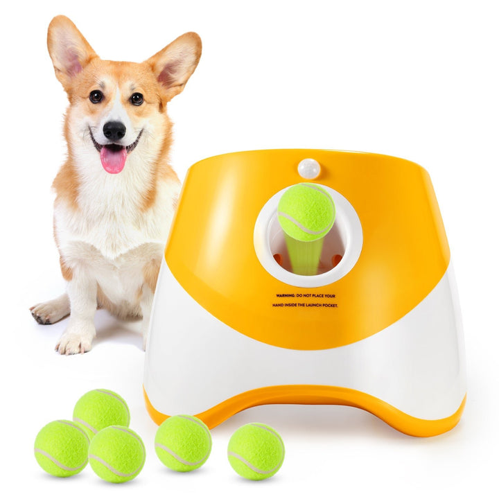 Automatic Dog Ball Launcher – Rechargeable – photo 5