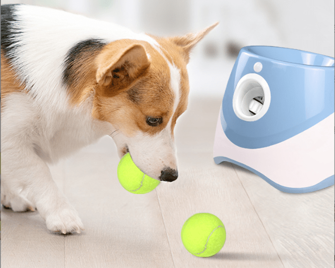 Automatic Dog Ball Launcher – Rechargeable – photo 4