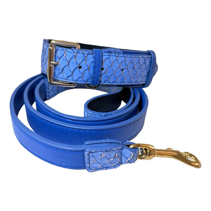 Malibu Classic collar &amp; leash set in blue embossed leather with gold hardware