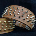 Load image into Gallery viewer, The "Crown" collar - Pet Collars & Harnesses from Bestia Dog Gear
