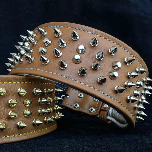 The "Crown" collar - Pet Collars & Harnesses from Bestia Dog Gear
