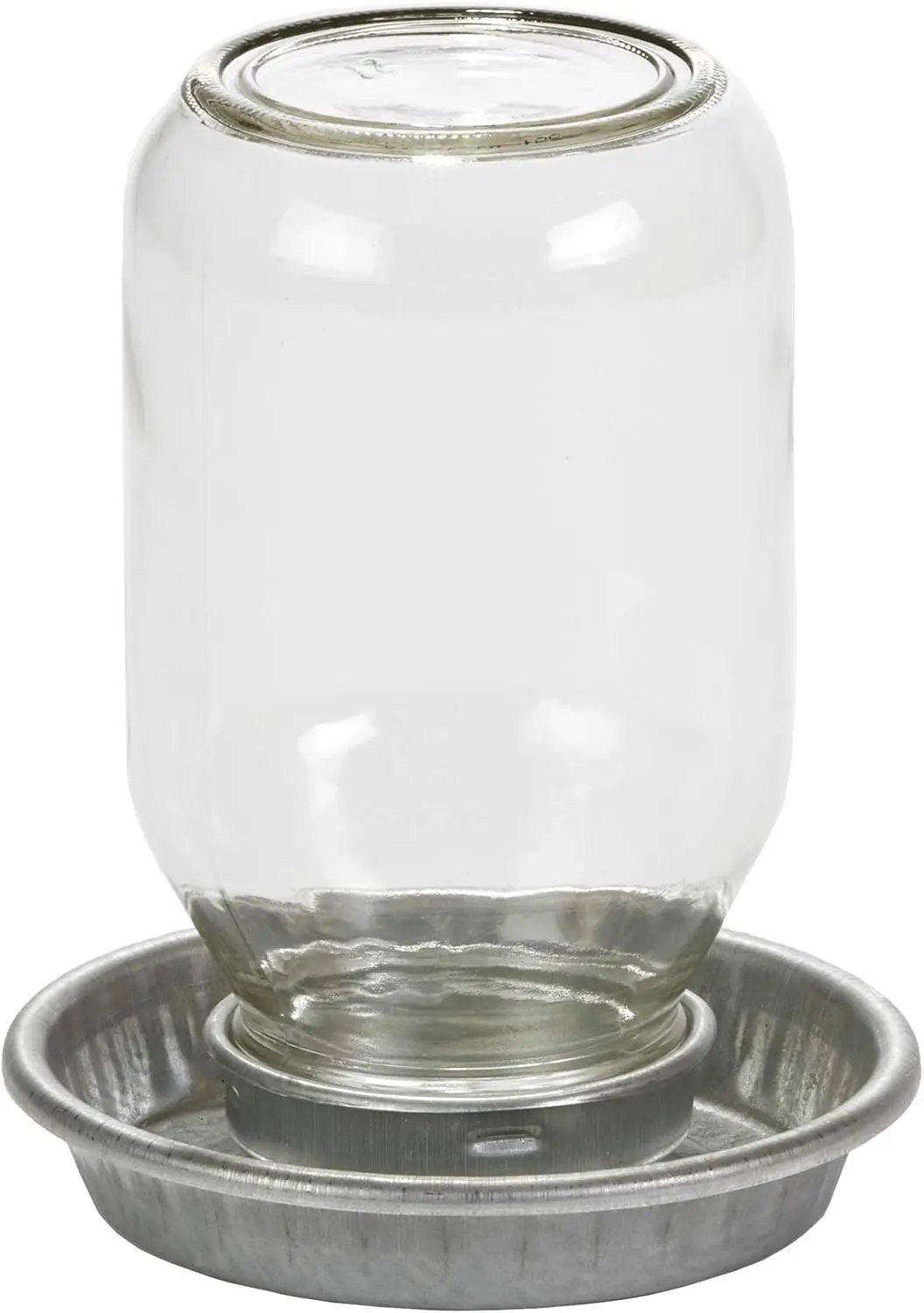 PoultryPro Galvanized Mason Jar Baby Chick Feeder And Waterer Set With Glass Jars For Brooder Use by Paw and Tail Supply