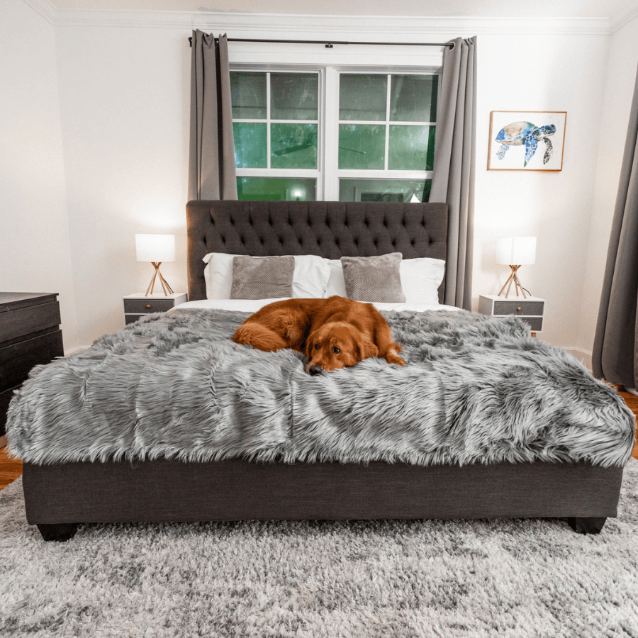 Paw.com PupProtector Waterproof Throw Blanket, Charcoal Grey