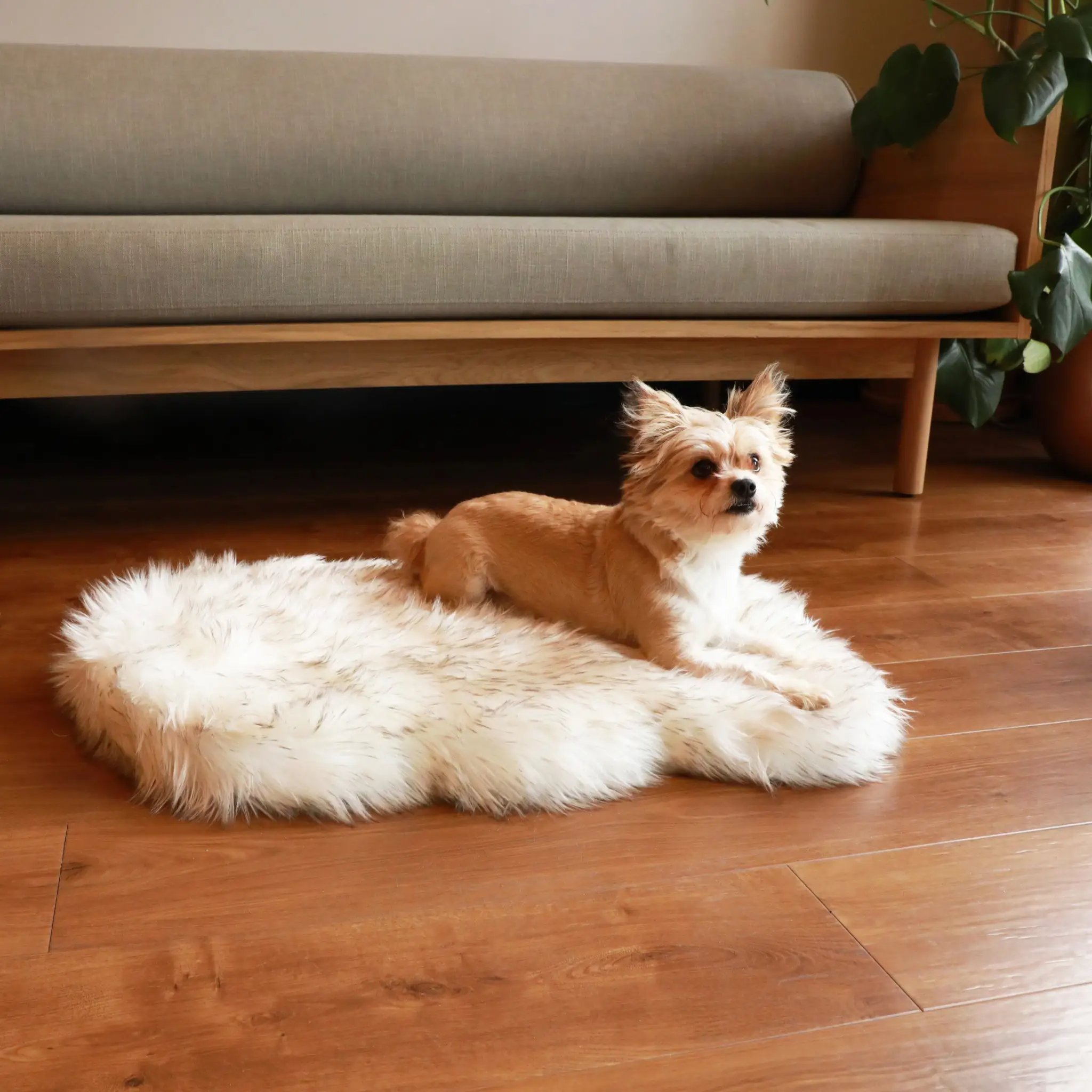 PupRug by Paw.com faux fur orthopedic dog bed, curve white with brown accents