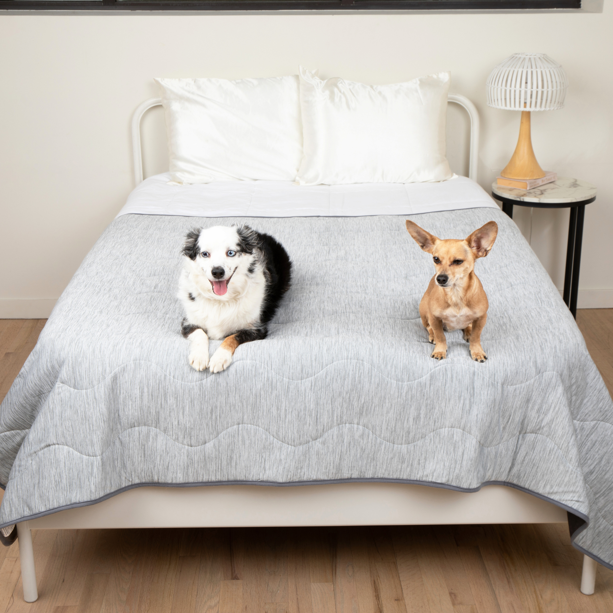 PupChill™ cooling waterproof blanket Arctic Grey on bed with two dogs