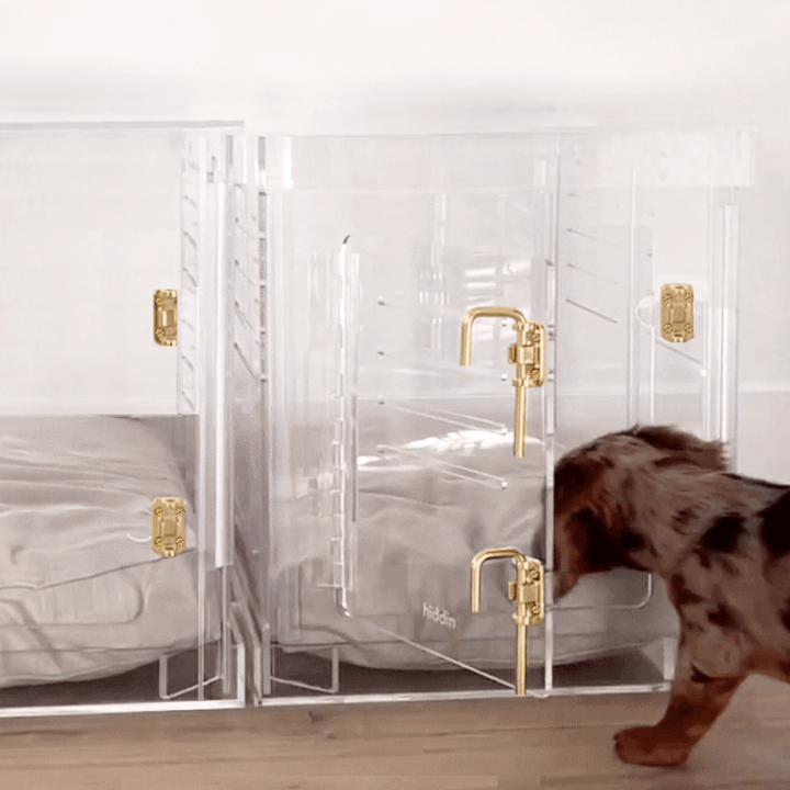 Hiddin Clear Acrylic Dog Crate – Small, Gold Latch