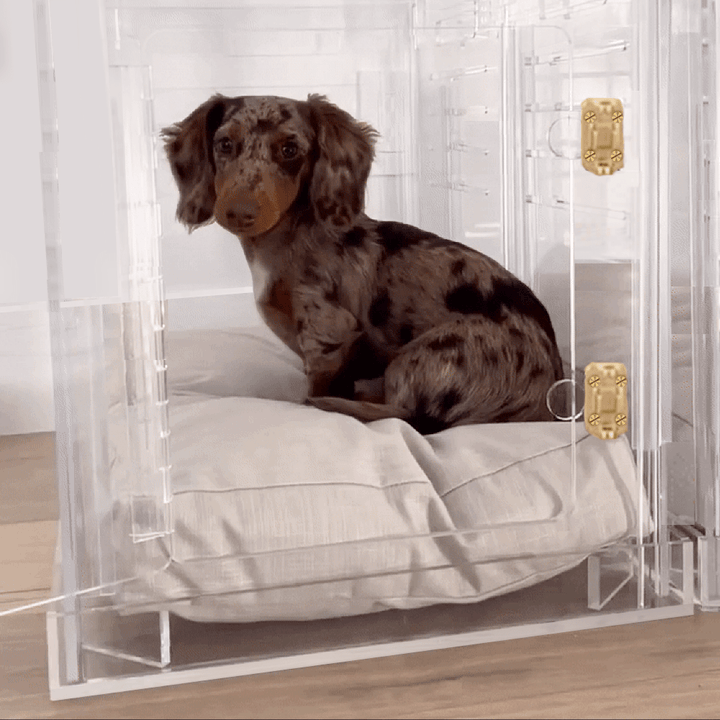 Hiddin Clear Acrylic Dog Crate – Small, Gold Latch