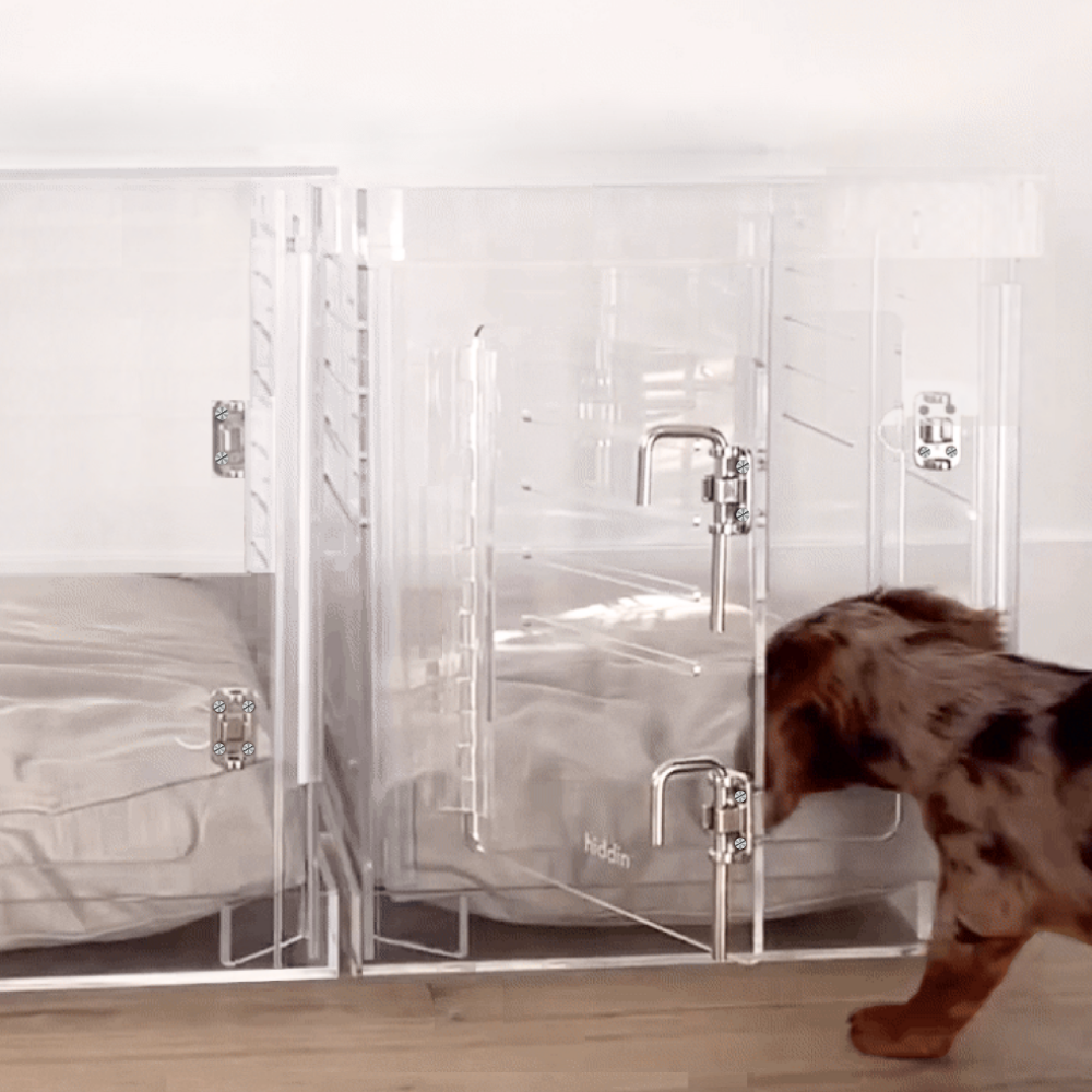 Hiddin Clear Acrylic Dog Crate – Small, Silver Latch