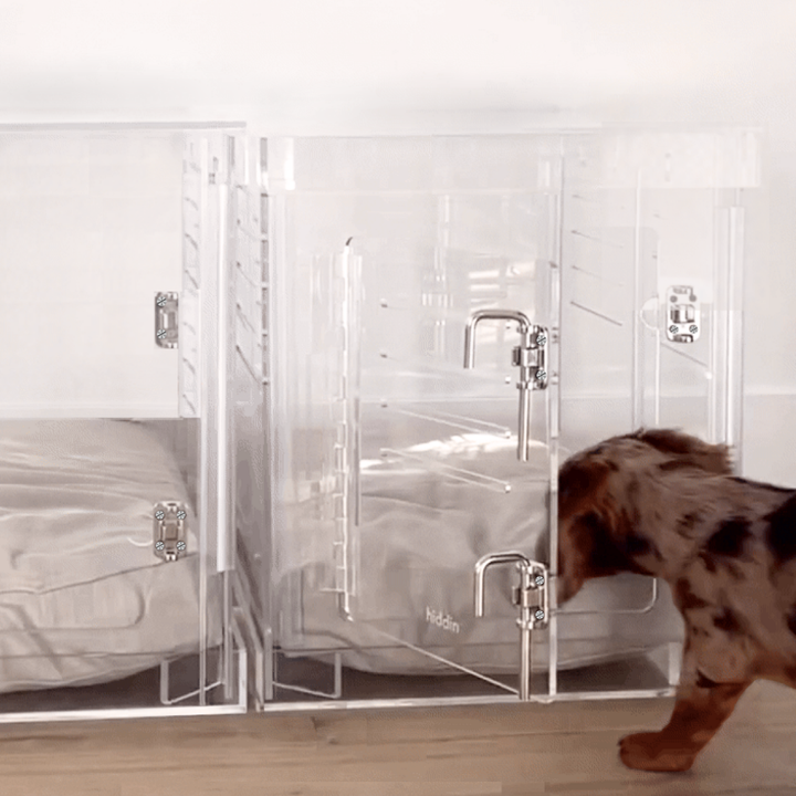 Hiddin Clear Acrylic Dog Crate – Small, Silver Latch