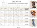 Load image into Gallery viewer, Wedding White Lace Set
