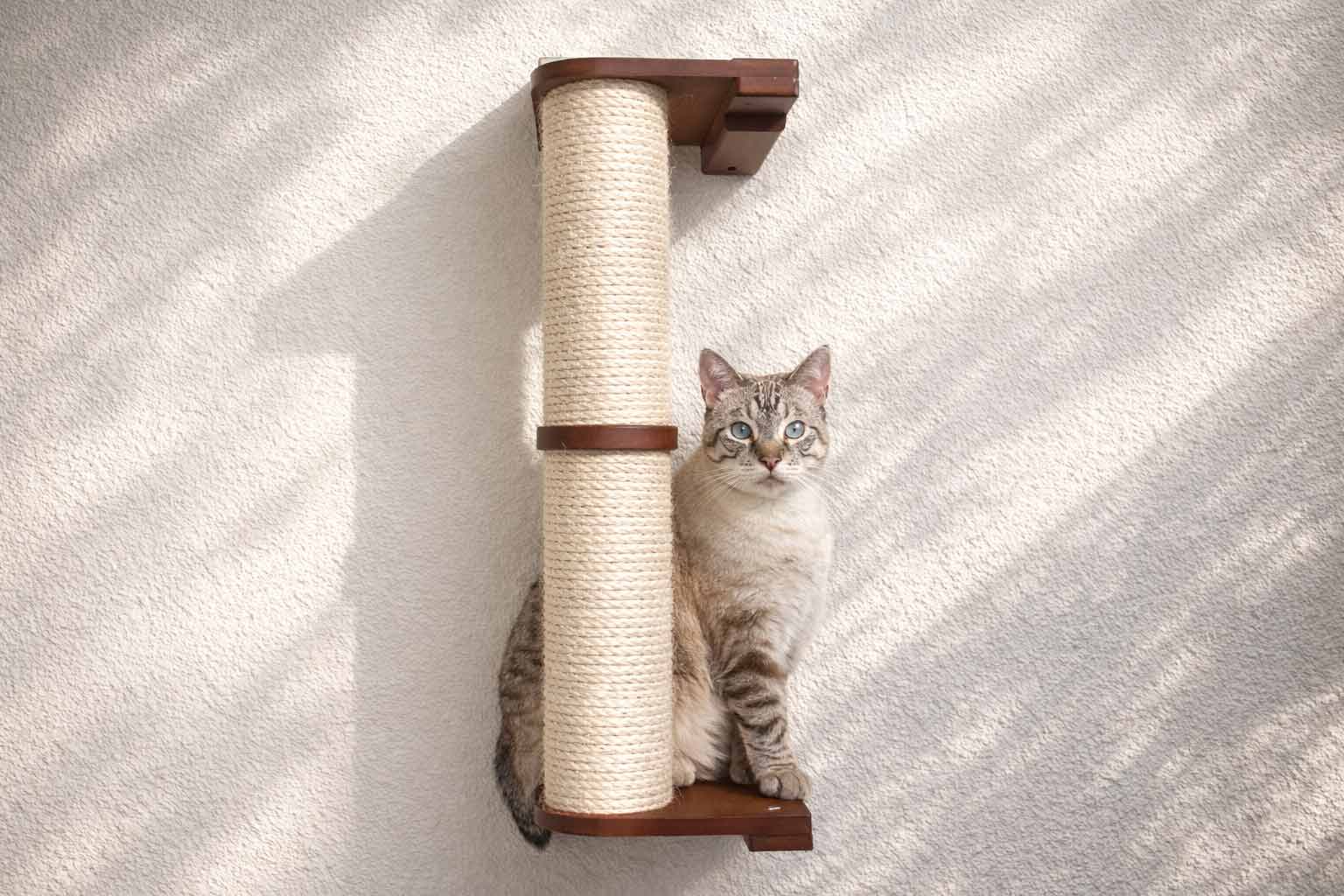 Wall-mounted cat climbing pole with sisal rope by Catastrophic Creations, a cat scratcher with wooden brackets