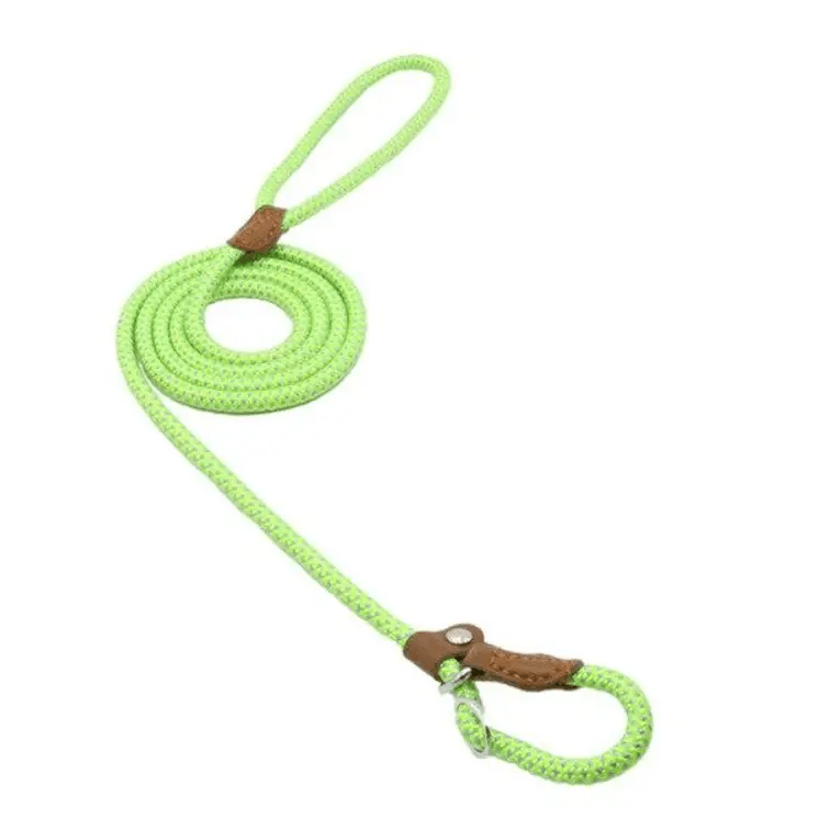 Nylon Pup Set Premium Leather Collar Leash Double Stitch Design by For Animals, With Love