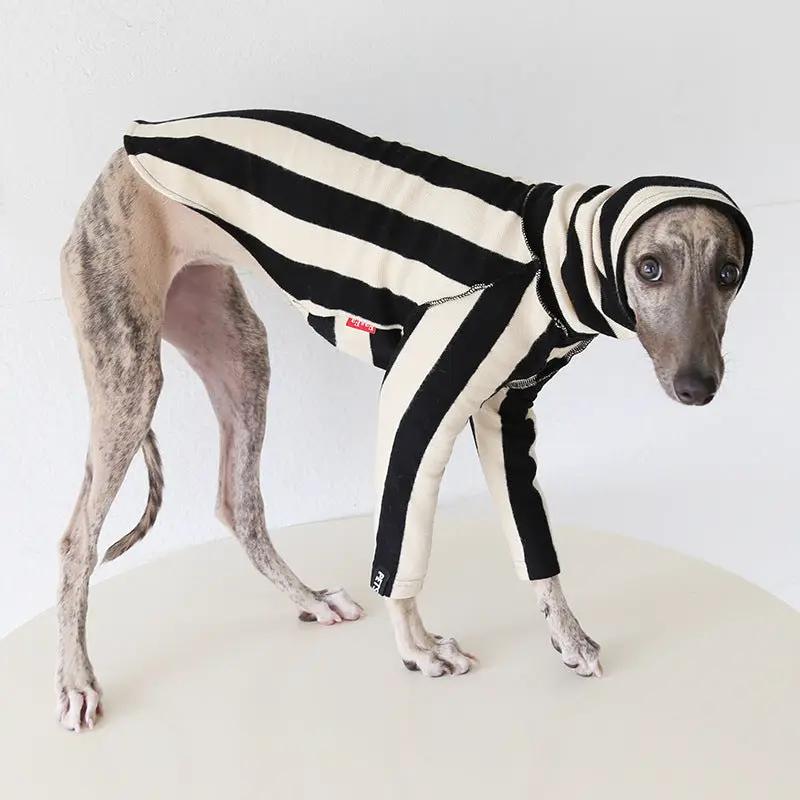 Whippet & Greyhound striped shirt costume by SOCKPET, black and cream knit pet outfit