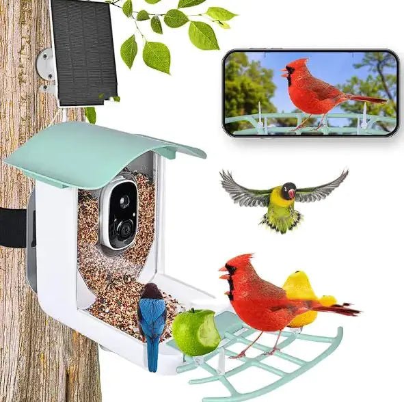 High Quality Solar Powered Smart Bird Feeder with High Definition Camera and Mobile App Control by Anti Spier