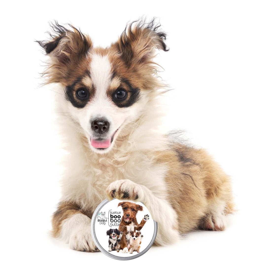 Boo Boo Butter for Dogs, 3 Cute Puppies Label, view 3
