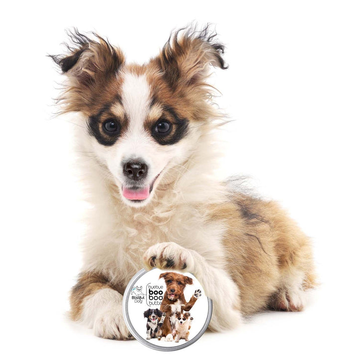 Boo Boo Butter for Dogs, 3 Cute Puppies Label, view 3