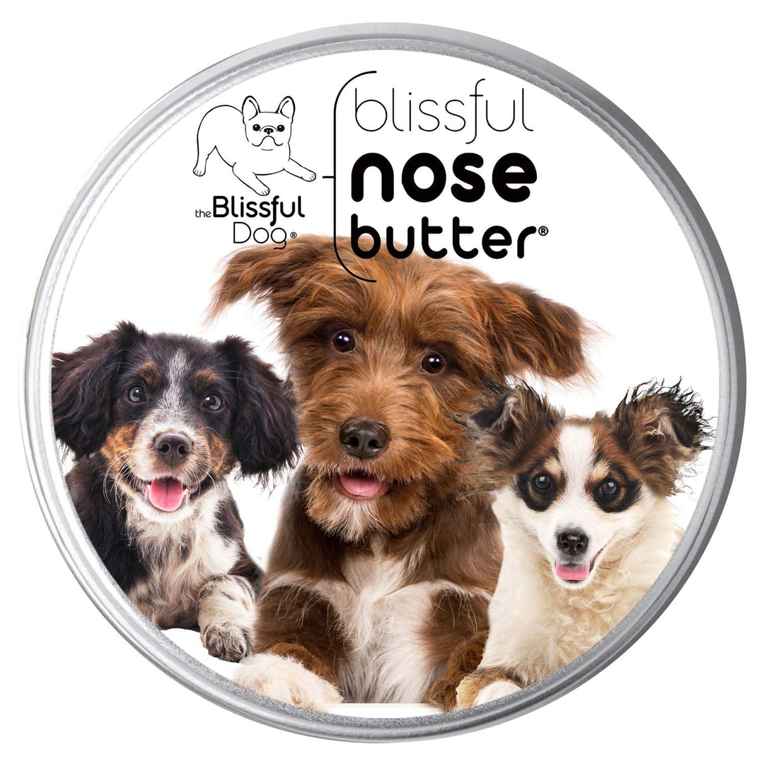 Nose Butter for Dogs, 3 Cute Puppies Label