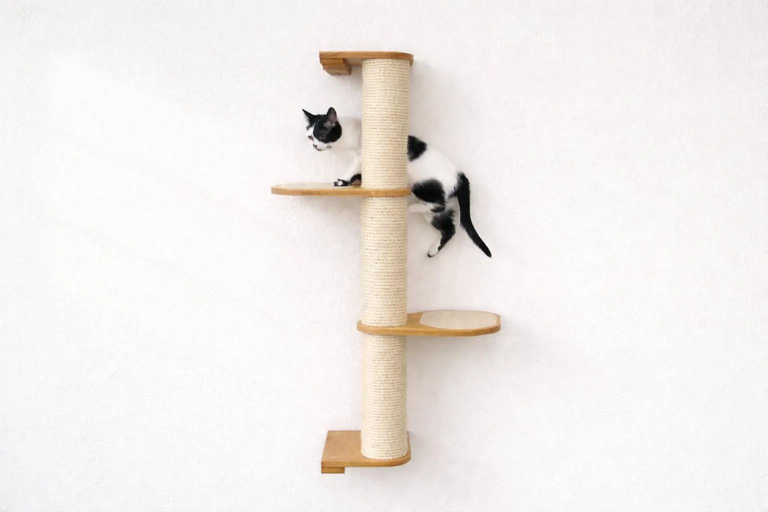 Wall-mounted cat climbing pole with sisal wrap and two wooden platforms; black and white cat climbing.
