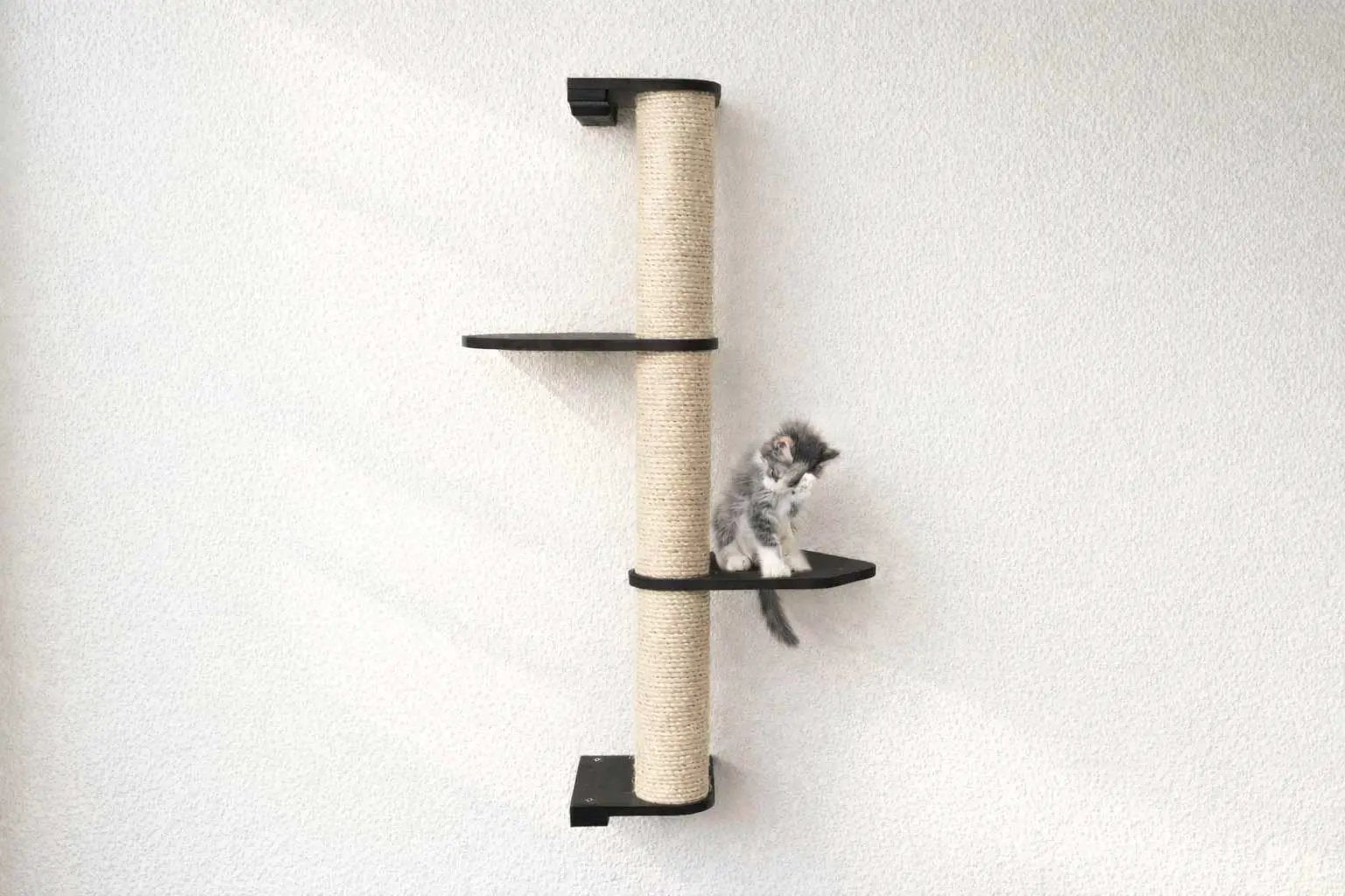 Wall Mounted Cat Climbing Pole - Sisal cat scratcher by Catastrophic Creations; pole with two black platforms