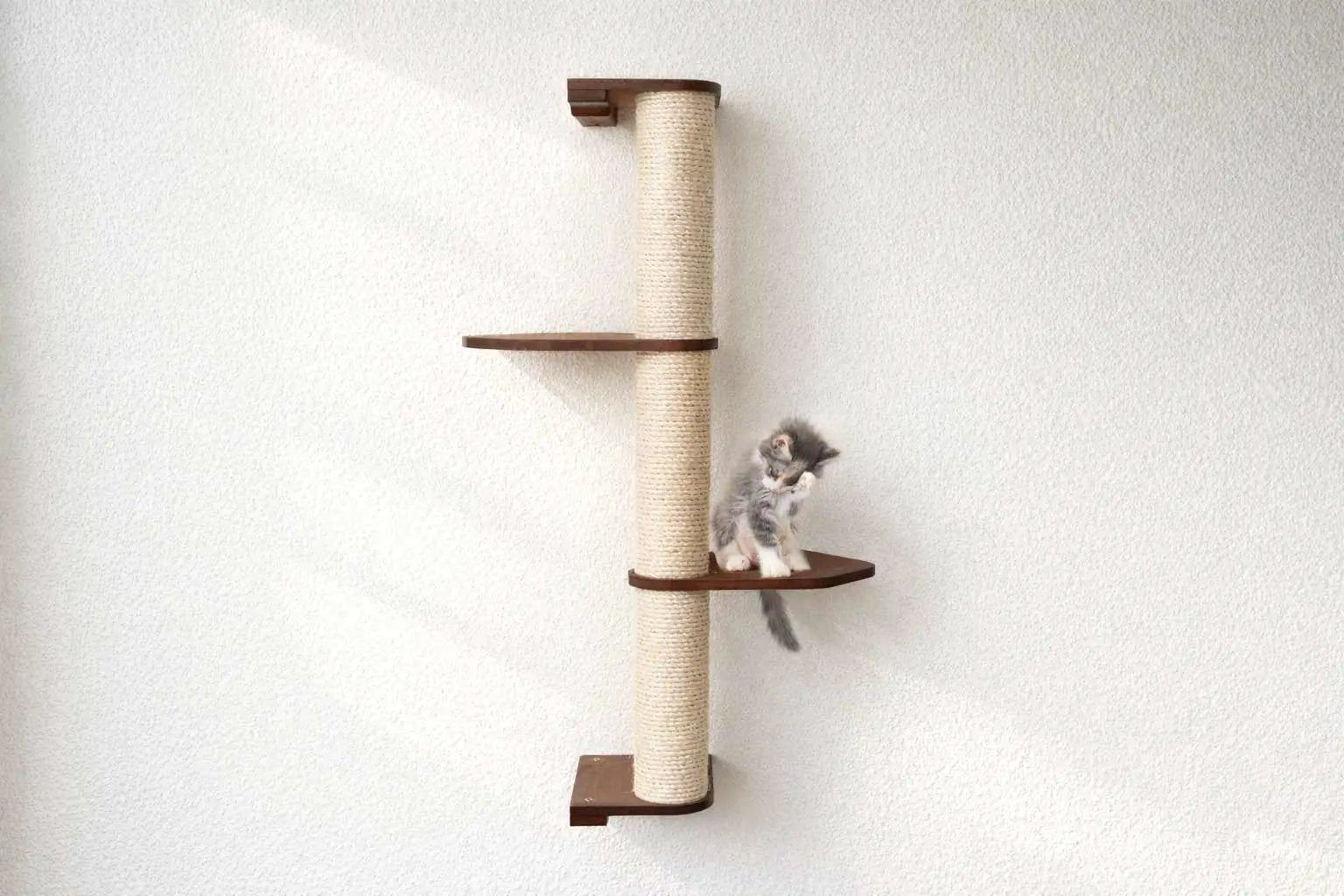 Wall Mounted Cat Scratcher by Catastrophic Creations; sisal-wrapped pole with two brown platforms, kitten perched.