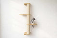 Charger l'image dans la visionneuse de la galerie, Wall-mounted cat climbing pole with sisal rope and natural wood shelves; kitten sits on the middle platform.
