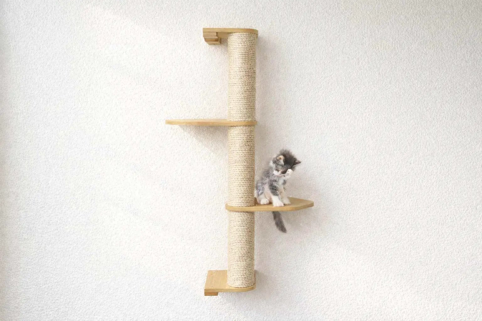 Wall-mounted cat climbing pole with sisal rope and natural wood shelves; kitten sits on the middle platform.