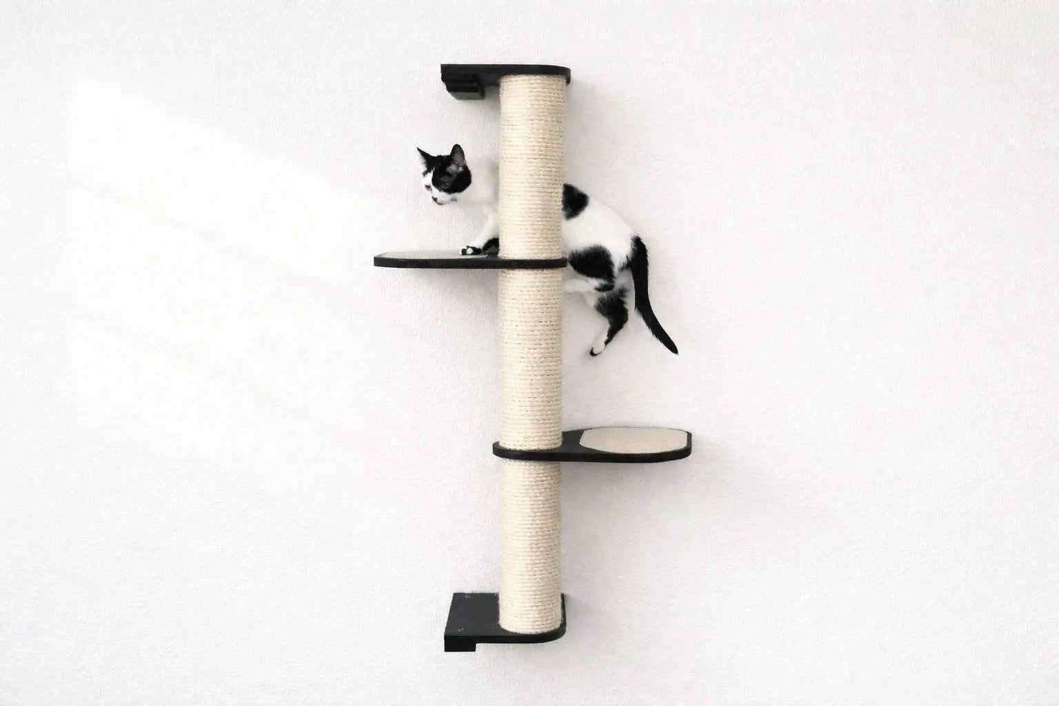 Wall Mounted Cat Climbing Pole - Sisal cat scratcher with two black platforms.