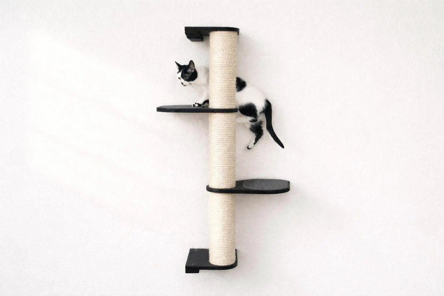 Wall Mounted Cat Climbing Pole with sisal-wrapped beige post and 3 black platforms