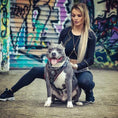 Load image into Gallery viewer, Handstitched "David" harness - Pet Collars & Harnesses from Bestia Dog Gear
