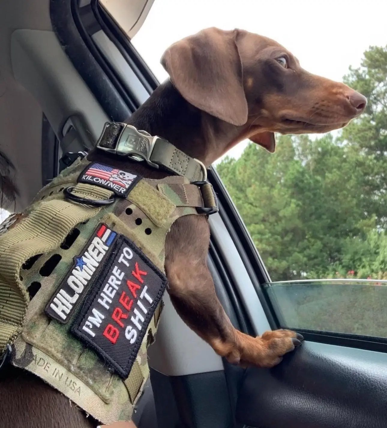 Break Shit Tactical Morale Patch Heavy Duty Hook Fastener Textile Velcro 3x2 Inch For Vest Backpack One Size by kiloninerpets