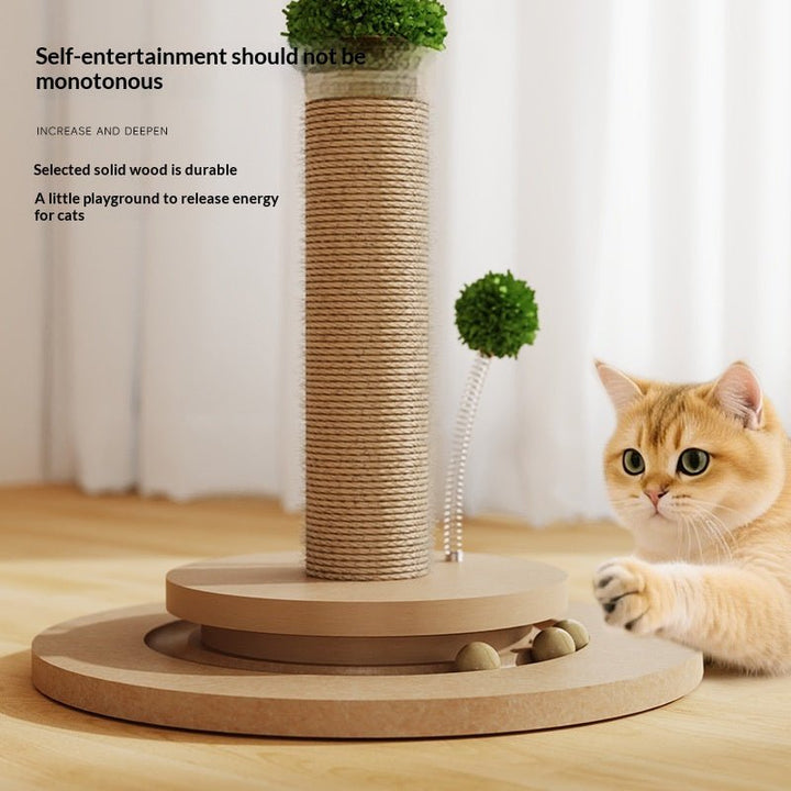 Cat beside rope-wrapped scratching post
