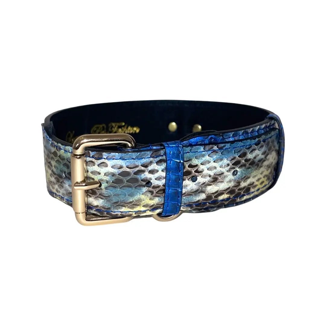 Stunning Blue Snake Classic Collar 14-19 Inch by Allysa Payne Beverly Hills