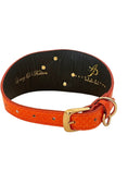 Load image into Gallery viewer, Orange snake-skin collar with gold-tone buckle and ring, Allysa Payne Beverly Hills
