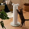 Bild in Galerie-Betrachter laden, Green Durable Cat Scratching Post For Claw Sharpening And No Shedding by Pet Zen

