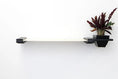 Load image into Gallery viewer, Cat Hammock Wall with Planter; light wood shelf with black brackets and a black planter.
