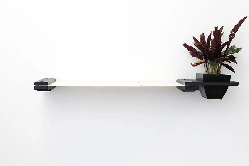 Cat Hammock Wall with Planter; light wood shelf with black brackets and a black planter.