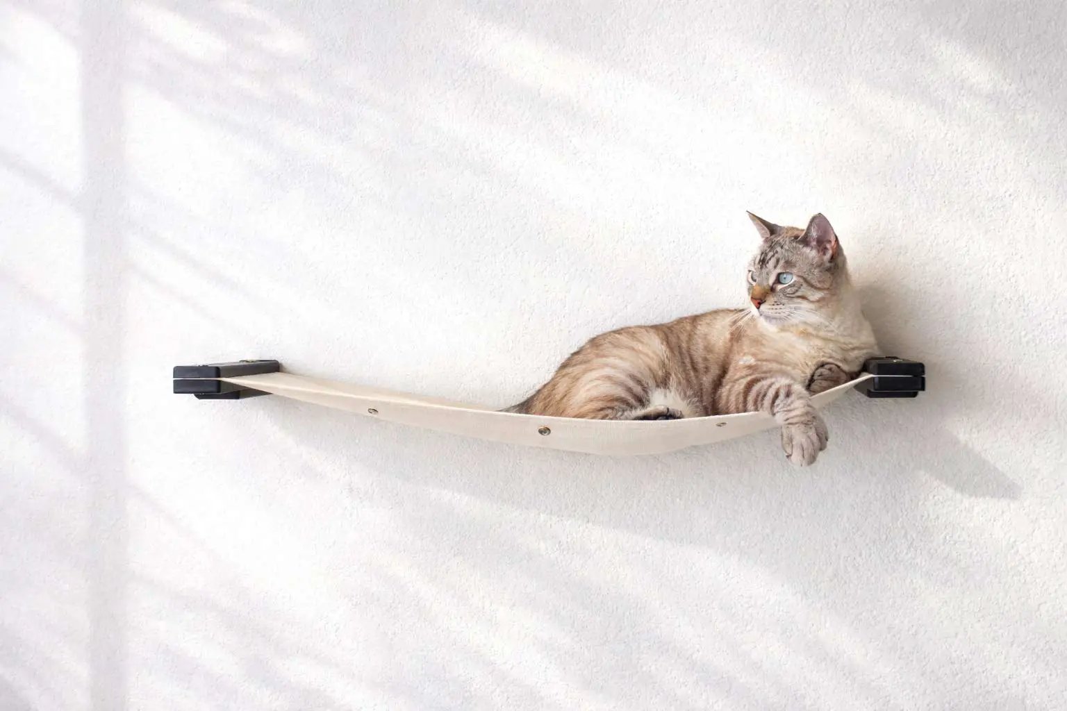 Hanging Cat Bed Hammock in beige fabric with black end caps; cat relaxing on it