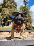 Load image into Gallery viewer, The ''Eros'' harness Black & Red Small to Medium Size - Pet Collars & Harnesses from Bestia Dog Gear
