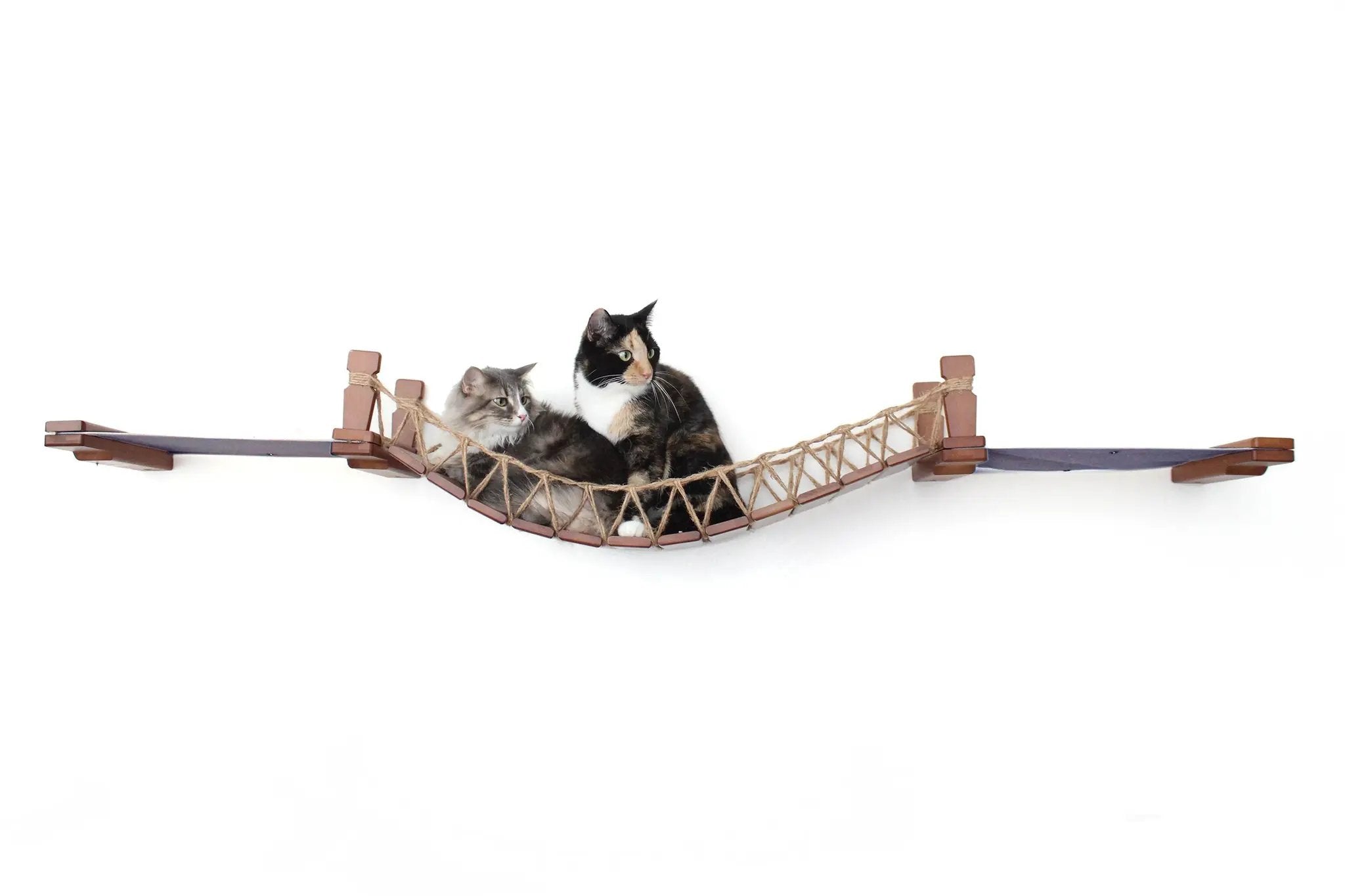 Double Cat Hammock and Climbing Bridge Combo by Catastrophic Creations, wood frame with rope net; two cats.