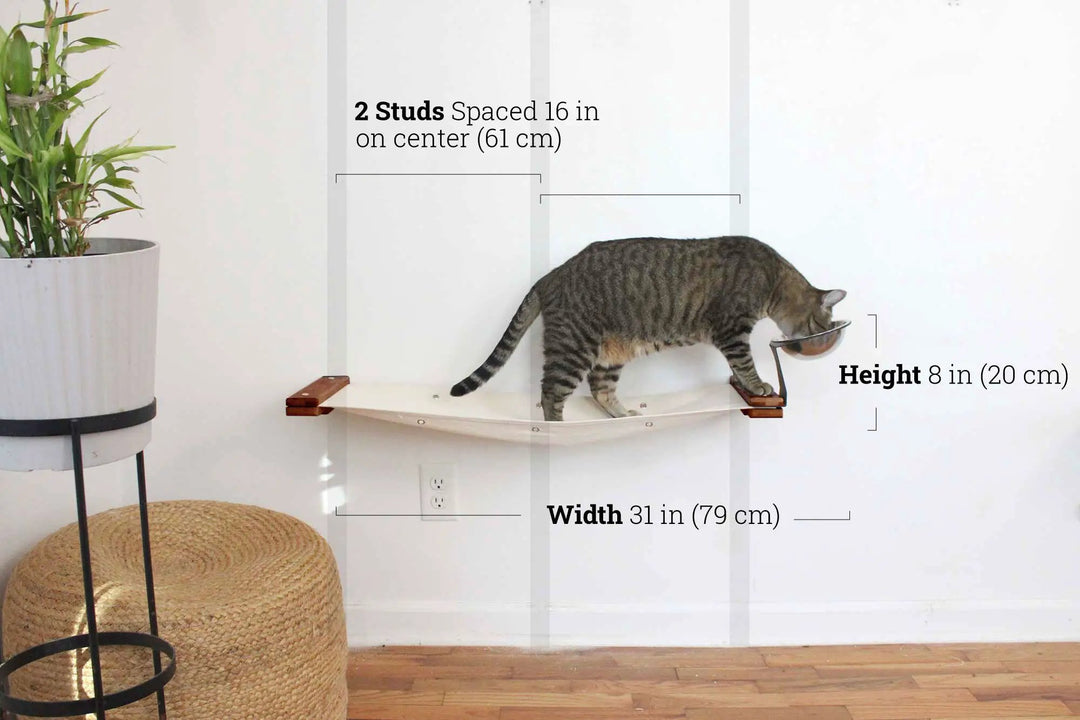 Dog-proof cat feeder on a wall-mounted raised cat hammock with a metal feeding bowl and gray tabby cat