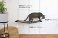 Charger l'image dans la visionneuse de la galerie, Dog Proof Cat Feeder wall-mounted raised cat hammock by Catastrophic Creations with feeding bowl
