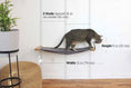 Charger l'image dans la visionneuse de la galerie, Cat Hammock by Catastrophic Creations, wall-mounted raised feeding platform with bowl.
