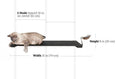 Carica l'immagine nel visualizzatore della galleria, Wall Mounted Cat Feeding Shelf by Catastrophic Creations; black platform with a metal feeding bowl and a cat lying on it.
