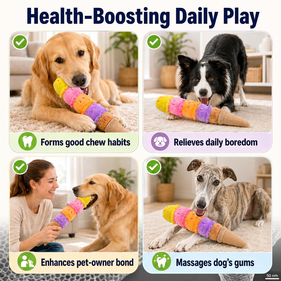 Supplier dog play and wellness marketing graphic
